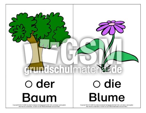 Bild-Wort-Karten-Natur.pdf